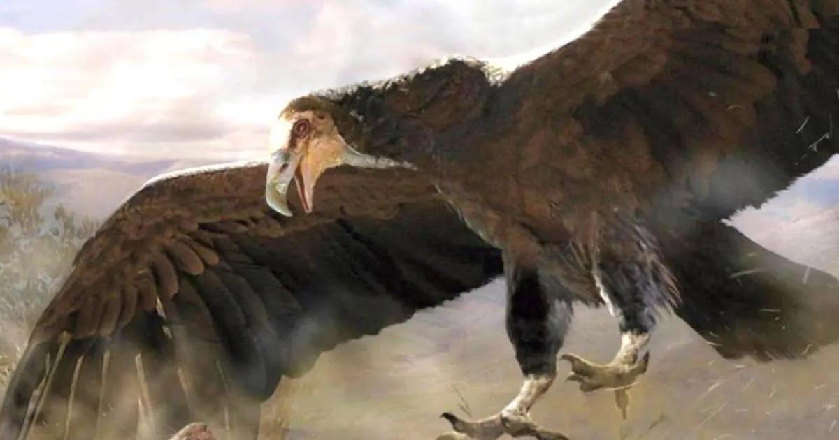 ave mas grande de la historia - Qué fue el argentavis