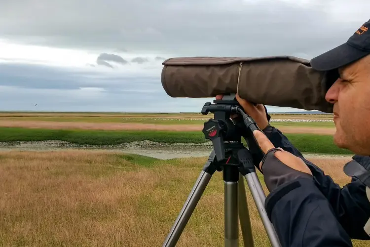 observatorio de aves - Qué hace un observador de aves