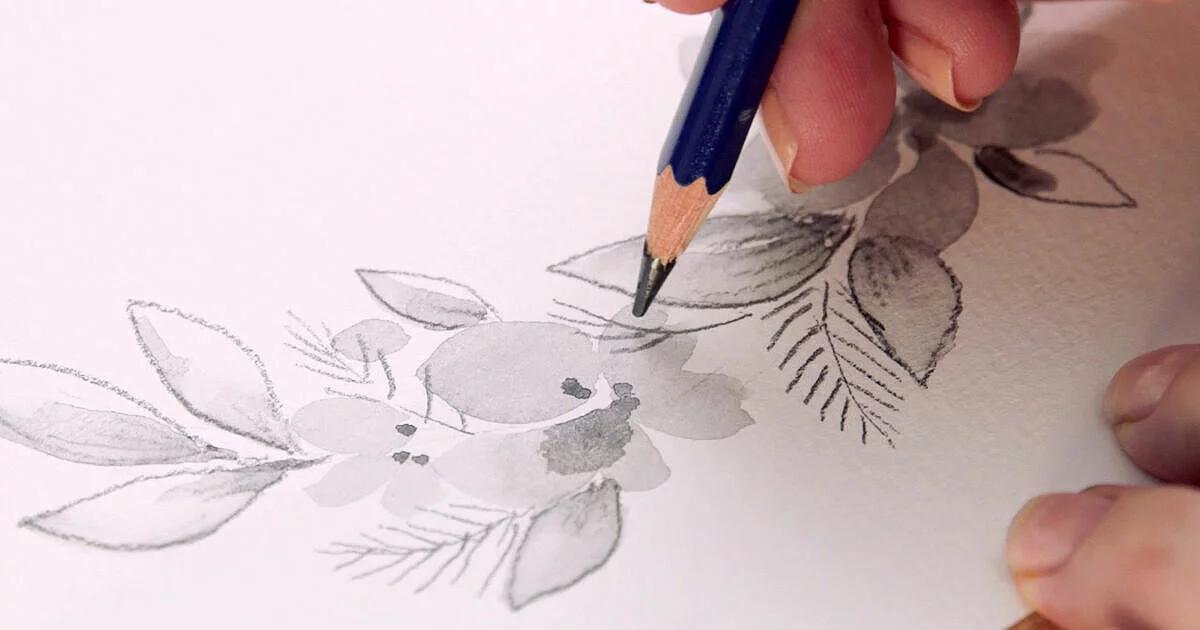 loros pintados con lapices acuarelables - Qué lapiz usar para un dibujo de acuarela