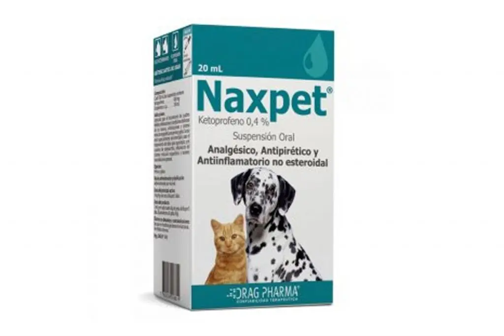 se puede dar a un loro el antiinflamatorio de perro - Qué medicamento humano le puedo dar ami perro para desinflamar