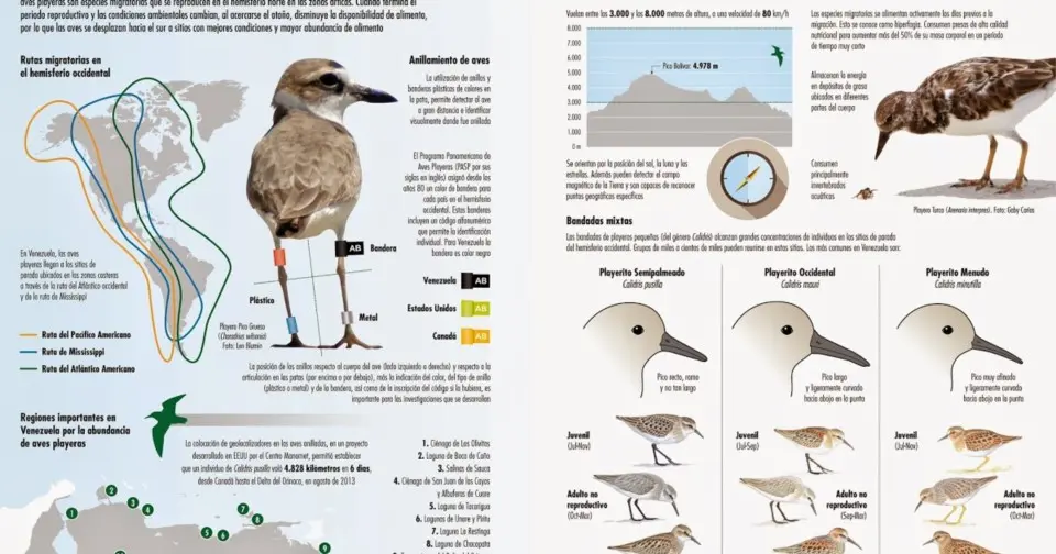 aves argentinas y secretaría de ambiente y desarrollo sustentable - Qué medidas toma Argentina para cuidar el medio ambiente