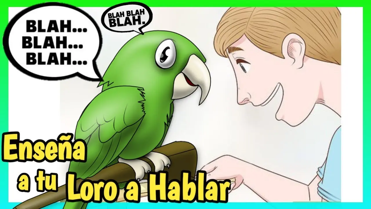 Cómo puedo llamar a mi loro australiano - Qué nombre se le pueden poner a los pericos como.puedo.llamar ami loro - Qué nombre se le pueden poner a los pericos