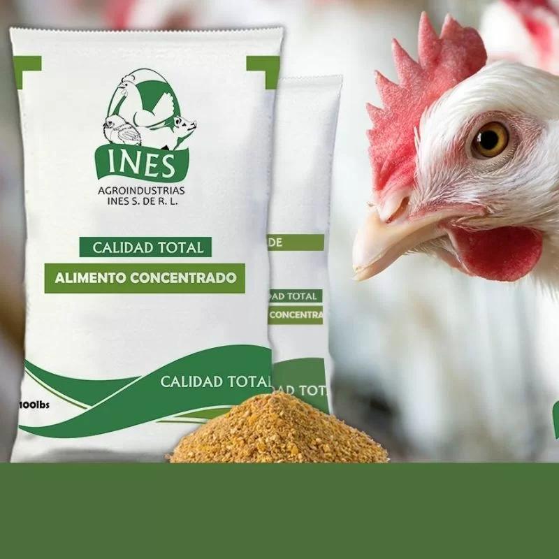 alimentos para aves parecido al engorde - Qué pasa si le doy maíz a los pollos de engorde