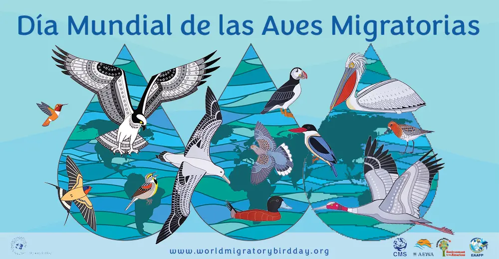 10 de mayo dia mundial de las aves migratorias - Qué quiere decir aves migratorias
