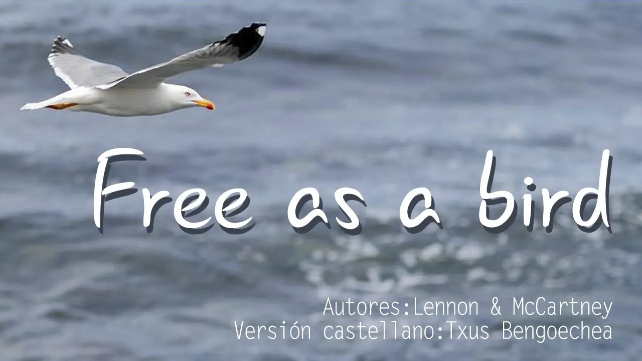 libre como un pájaro the beatles - Qué quiere decir la canción Penny Lane