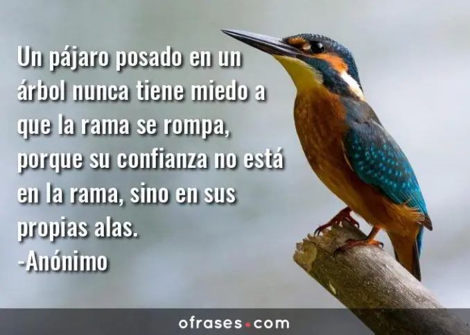 chica solpla sus manos y salen pájaros frases - Qué quiere decir la moraleja donde las dan las toman
