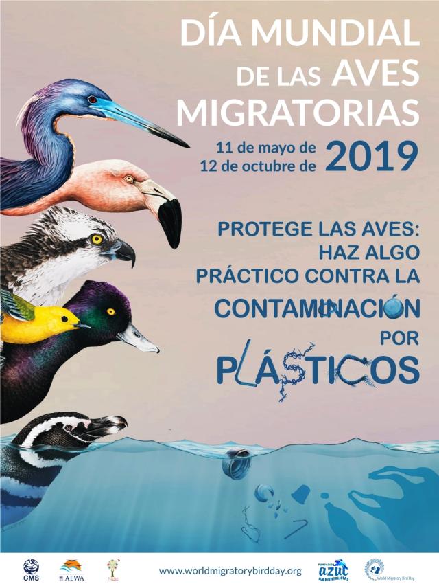 El Día de las Aves en Argentina - Qué se celebra el 05 de octubre en Argentina el dia de las aves - Qué se celebra el 05 de octubre en Argentina