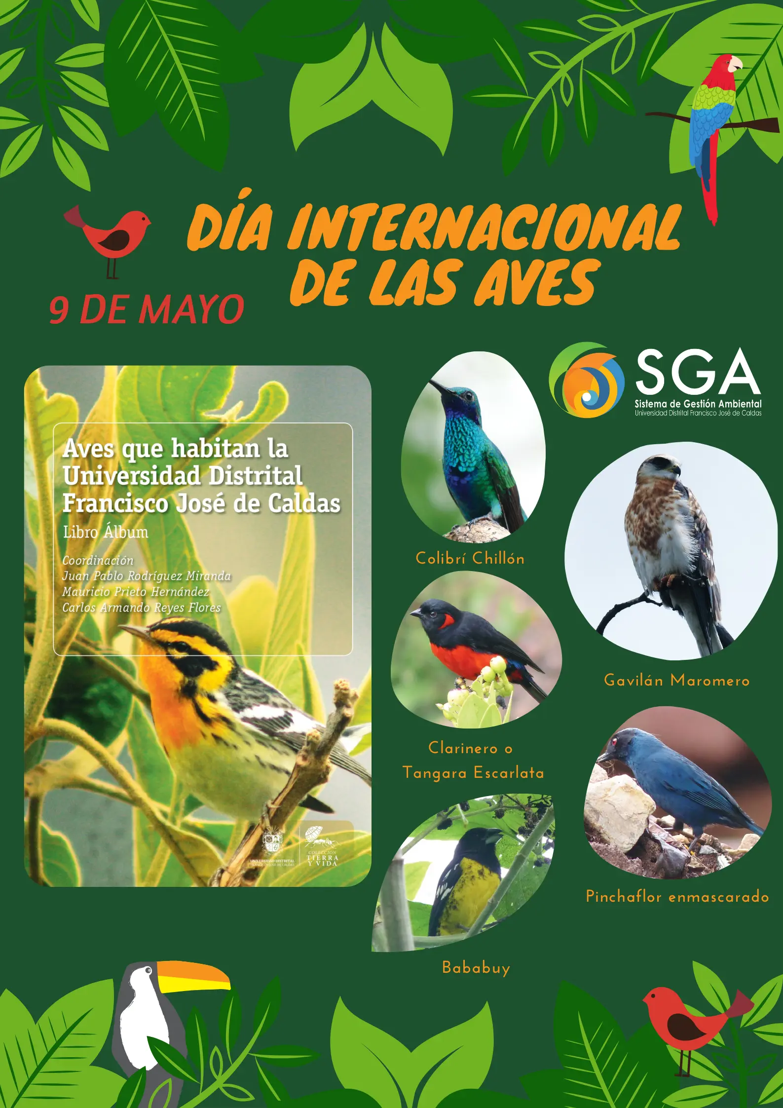 9de mayo dia internacional de las aves - Qué se celebra el 9 de mayo en el Ecuador