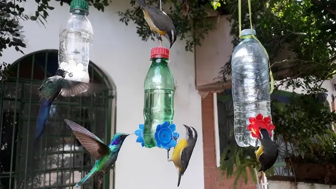 agua con azucar aves - Que se le pone al agua para los colibríes