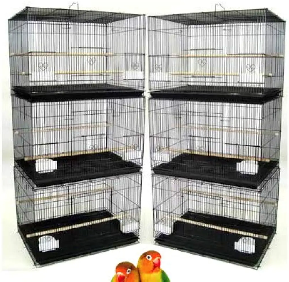 avarios de pajaros - Qué se necesita para poner un aviario