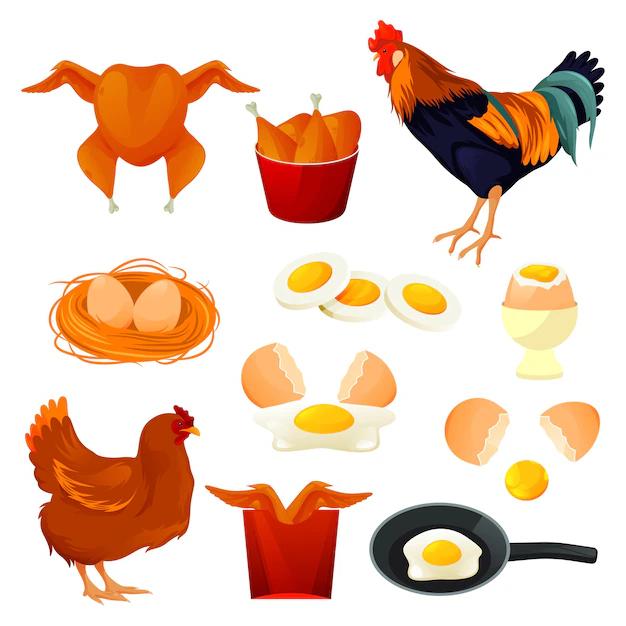 productos derivados de las aves - Qué se obtiene de la producción avícola