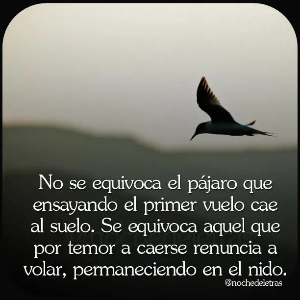 a vuelo de pajaro refran - Qué significa abuelo de pájaro