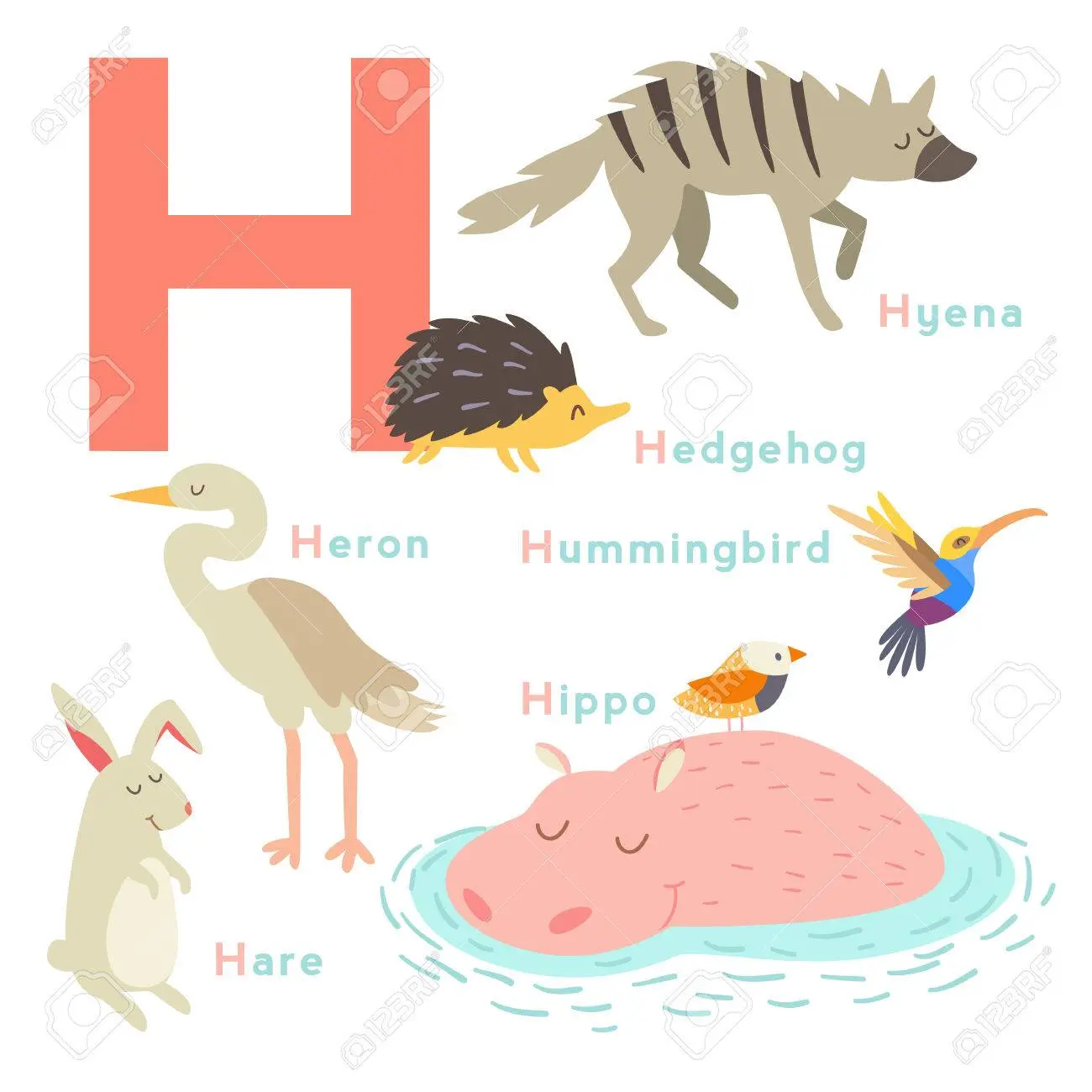 aves con h - Qué significa ave con H