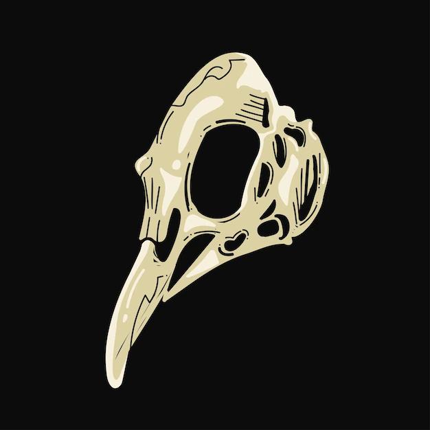 calabera pajaros - Qué significa el cráneo de un cuervo