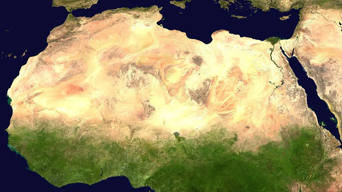 aves del desierto del sahara - Qué significa el desierto de Sahara