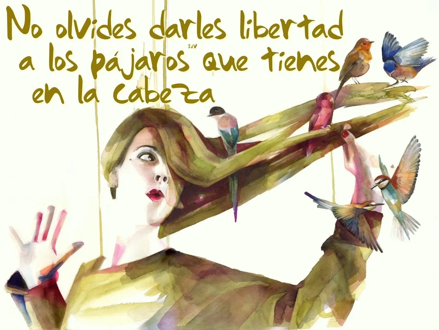 chica solpla sus manos y salen pájaros frases - Qué significa el refrán que dice