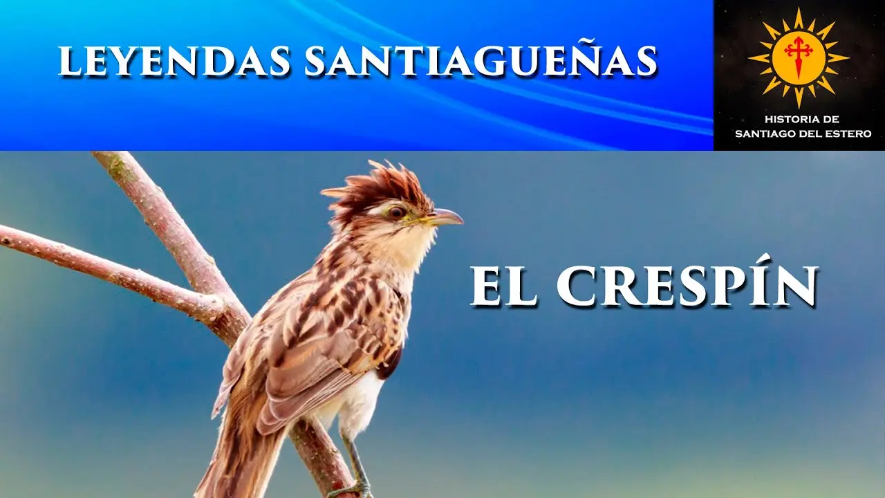 pajaro crespin historia - Qué significa el silbido del Crespín