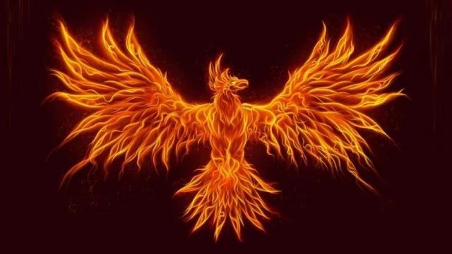 Ave Fénix en otros idiomas: significado y traducciones - Qué significa fénix en latín ave fenix en otros idiomas - Qué significa fénix en latín