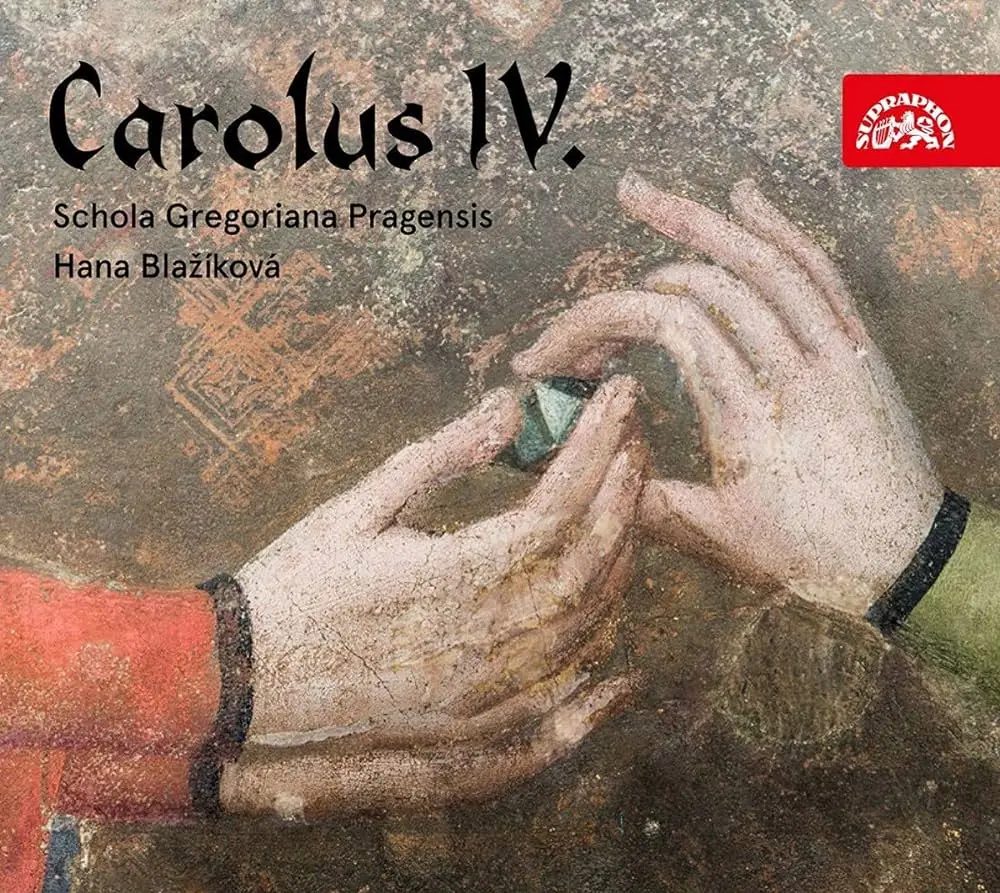 Ave Carolus: Un Tesoro de la Naturaleza - Qué significa la visita de un pájaro barranquero ave carolus - Qué significa la visita de un pájaro barranquero
