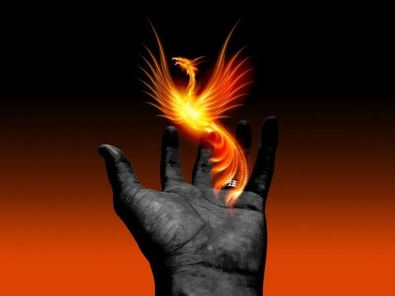 ave fenix resiliencia - Qué significa ser como el ave fénix