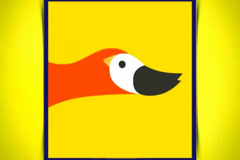 test de personalidad aves - Qué significa tener personalidad de pato