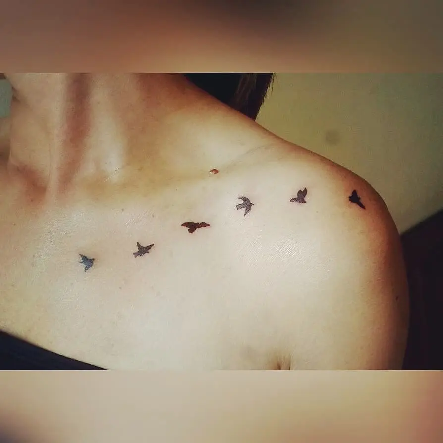 Aves en vuelo tattoo: significado y diseños de tatuajes de gaviotas - Qué significado tiene las gaviotas en un tatuaje aves en vuelo tattoo - Qué significado tiene las gaviotas en un tatuaje