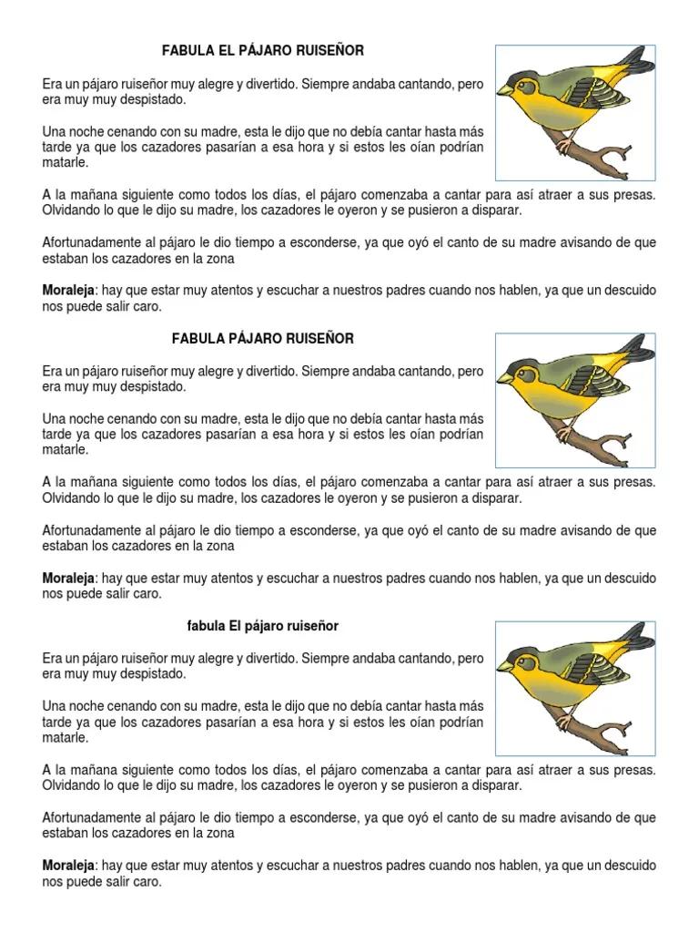 fabulas de pajaros - Qué son las fábulas y ejemplos cortos