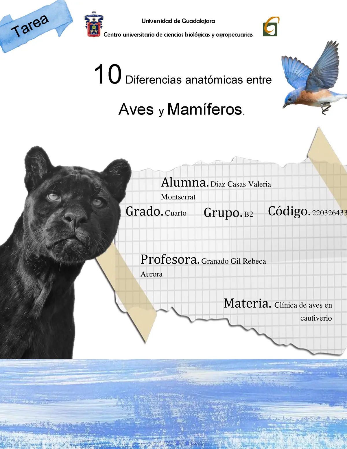 en que se diferencian los mamiferos de las aves - Qué son los mamíferos y aves