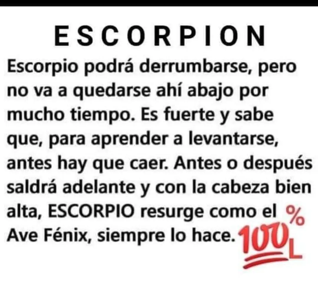 Escorpio renace como el ave fénix - Qué tiene que ver el ave fénix con Escorpio escorpio renace como el ave fenix - Qué tiene que ver el ave fénix con Escorpio