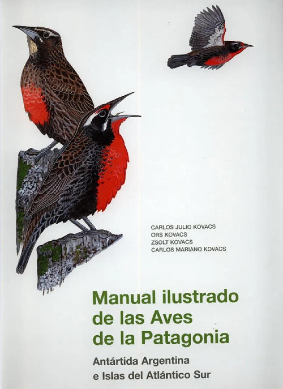 aves de la patagonia - Qué tipo de fauna tiene la Patagonia