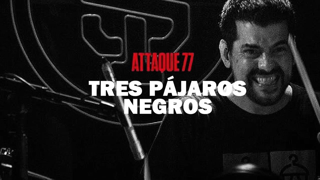 attaque 77 tres pajaros - Qué tipo de música es Attaque 77