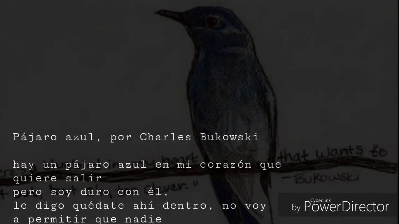 bukowski pájaro azul - Qué tipo de poeta era Bukowski