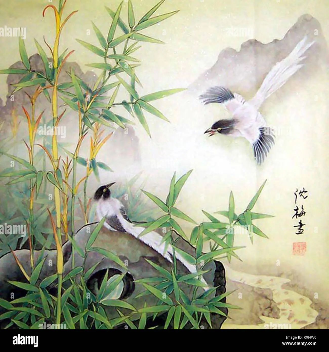 aves orientales - Qué tipos de aves hay en China