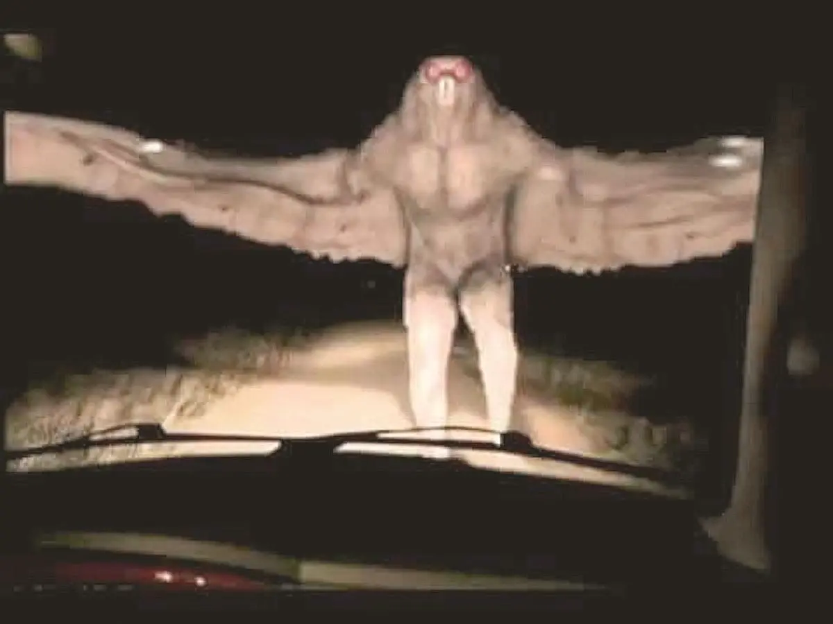 El misterioso hombre pájaro: ¿mito o realidad? - Quién es el hombre pájaro hombre pajaro - Quién es el hombre pájaro