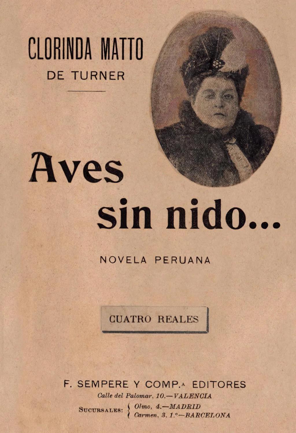 aves sin nido autor - Quién escribió Aves sin nido y de qué trata